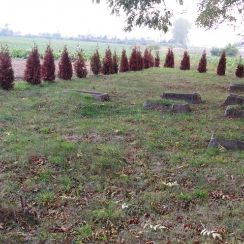 Powiększ obraz: Zdjęcie cmentarza ewangielicki w Subkowach stan na 2021 rok. Na fotografii kilka nagrobków porośniętych mchem i trawą. W tle drzewa i krzewy