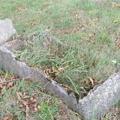 Powiększ obraz: Zdjęcie cmentarz ewangielicki w Subkowach stan na 2021 rok. Nagrobek porośniętych mchem i trawą z każdej strony, także od środka. Mocno zniszczony - pozozstało tylko obrzeże. 